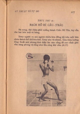 Kỹ thuật võ tự do