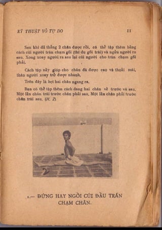 Kỹ thuật võ tự do