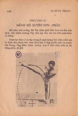 Kỹ thuật võ tự do