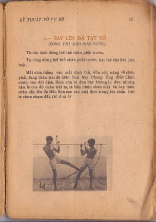 Kỹ thuật võ tự do