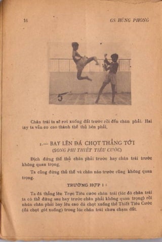 Kỹ thuật võ tự do