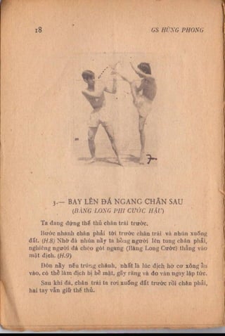 Kỹ thuật võ tự do