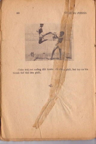 Kỹ thuật võ tự do