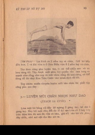 Kỹ thuật võ tự do