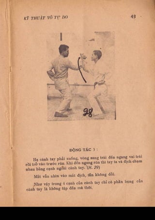 Kỹ thuật võ tự do