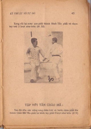 Kỹ thuật võ tự do