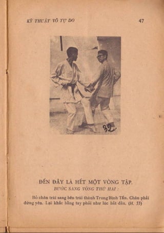 Kỹ thuật võ tự do