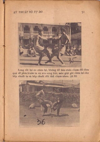 Kỹ thuật võ tự do