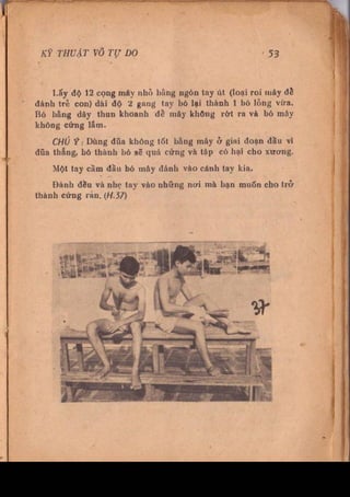 Kỹ thuật võ tự do