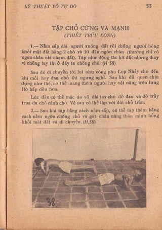 Kỹ thuật võ tự do