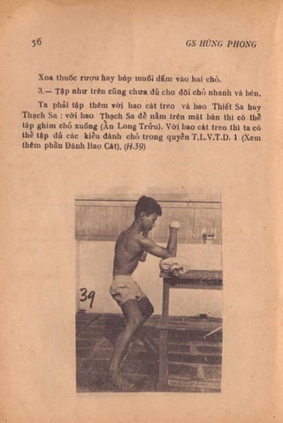 Kỹ thuật võ tự do