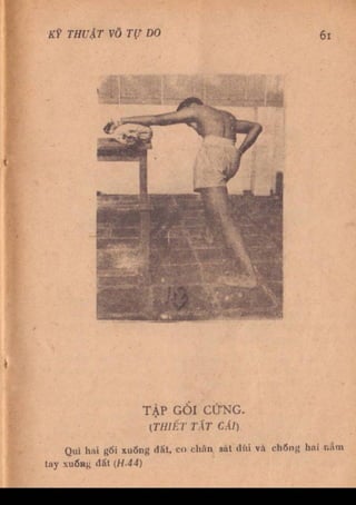 Kỹ thuật võ tự do