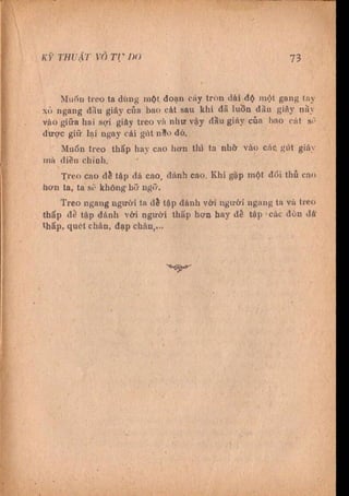 Kỹ thuật võ tự do