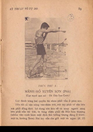 Kỹ thuật võ tự do