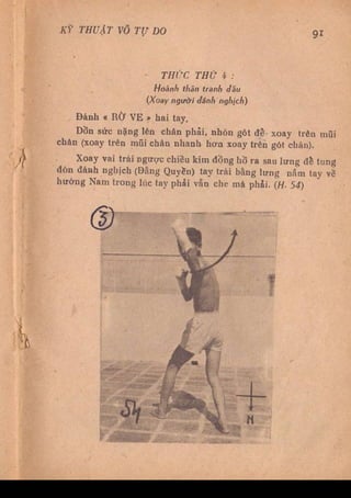 Kỹ thuật võ tự do