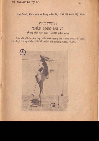 Kỹ thuật võ tự do