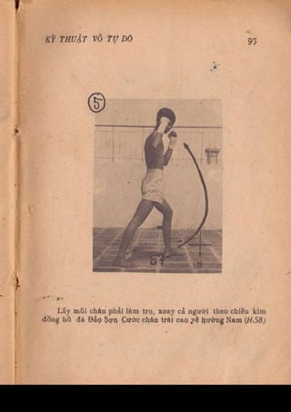 Kỹ thuật võ tự do