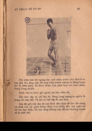 Kỹ thuật võ tự do