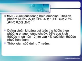 www.themegallery.com
FM-1 - xuùc taùc toång hôïp amoniac. Thaønh
phaàn: 64,6% Fe2O3; 31% FeO; 1,4% K2O; 2.5%
Al2O3; 0,5% SiO2.
 Daïng vieân khoâng qui taéc thu ñöôïc theo
phöông phaùp noùng chaûy; 96% coù kích
thöôùc nhoû hôn 10mm vaø 4% coù kích thöôùc
nhoû hôn 4mm.
 Thôøi gian söû duïng 7 naêm.
 