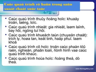 www.themegallery.com
Caùc quaù trình cô baûn trong saûn
xuaát chaát xuùc taùc
 Caùc quaù trình thuûy ñoäng hoïc: khuaáy
troän, laéng, loïc.
 Caùc quaù trình nhieät: gia nhieät, laøm laïnh,
bay hôi, ngöng tuï hôi.
 Caùc quaù trình khueách taùn (chuyeån chaát):
trích ly, hoøa tan, keát tinh, haáp phuï. laøm
khoâ
 Caùc quaù trình cô hoïc: troän caùc phaàn töû
raén, nghieàn, phaân loaïi, ñònh hình vaø caùc
quaù trình khaùc.
 Caùc quaù trình hoùa hoïc: ñoàng theå, dò
theå.
 