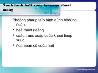 www.themegallery.com
Ñònh hình haït xuùc taùc vaø chaát
mang
Phöông phaùp taïo hình aûnh höôûng
ñeán:
 beà maët rieâng
 caáu truùc xoáp cuûa khoái tieáp
xuùc
 ñoä beàn cô cuûa haït
 