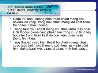 www.themegallery.com
CAÙC CHAÁT XUÙC TAÙC TREÂN
CHAÁT MANG (PHÖÔNG PHAÙP
TAÅM)
 Caáu töû hoaït ñoäng ñính treân chaát mang coù
nhieàu loã xoáp, trong ñoù chaát mang laø vaät lieäu
trô hoaëc ít hoaït ñoäng.
 Töông taùc vôùi chaát mang coù theå laøm thay ñoåi
kích thöôùc giöõa caùc phaân töû trong xuùc taùc hay
hoùa trò trong lieân keát do coù lieân quan ñeán
töøng tinh theå.
 Tuøy thuoäc vaøo loaïi thieát bò phaûn öùng, chaát
xuùc taùc treân chaát mang coù theå laø vieân vôùi
hình daïng baát kyø: caàu, vi caàu, hình truï, vaåy...
 