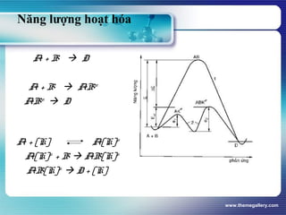 www.themegallery.com
Năng lượng hoạt hóa
A + B  D
A + B  AB≠
AB≠
 D
A + [K] A[K]≠
A[K]≠
+ B  AB[K]≠
AB[K]≠
 D + [K]
 