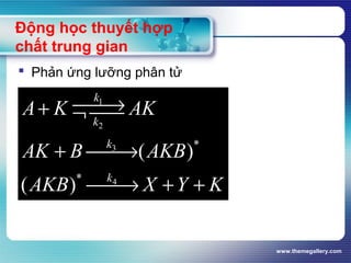 www.themegallery.com
Động học thuyết hợp
chất trung gian
 Phản ứng lưỡng phân tử
1
2
3
4
*
*
( )
( )
k
k
k
k
A K AK
AK B AKB
AKB X Y K
→+ ¬ 
+ →
→ + +
 