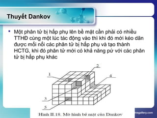 www.themegallery.com
Thuyết Dankov
 Một phân tử bị hấp phụ lên bề mặt cần phải có nhiều
TTHĐ cùng một lúc tác động vào thì khi đó mới kéo dãn
được mối nối các phân tử bị hấp phụ và tạo thành
HCTG, khi đó phân tử mới có khả năng pứ với các phân
tử bị hấp phụ khác
 