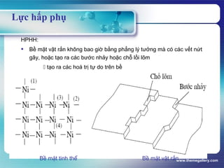 www.themegallery.com
HPHH:
 Bề mặt vật rắn không bao giờ bằng phẳng lý tưởng mà có các vết nứt
gãy, hoặc tạo ra các bước nhảy hoặc chỗ lồi lõm
 tạo ra các hoá trị tự do trên bề
Bề mặt tinh thể Bề mặt vật rắn
Lực hấp phụ
 
