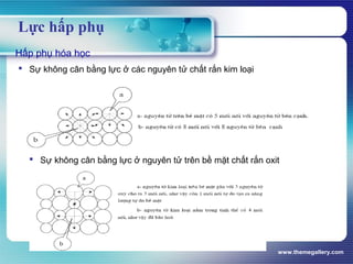 www.themegallery.com
Lực hấp phụ
Hấp phụ hóa học
 Sự không cân bằng lực ở các nguyên tử chất rắn kim loại
 Sự không cân bằng lực ở nguyên tử trên bề mặt chất rắn oxit
 