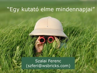 “Egy kutató elme mindennapjai”




           Szalai Ferenc
      (szferi@wsbricks.com)
 