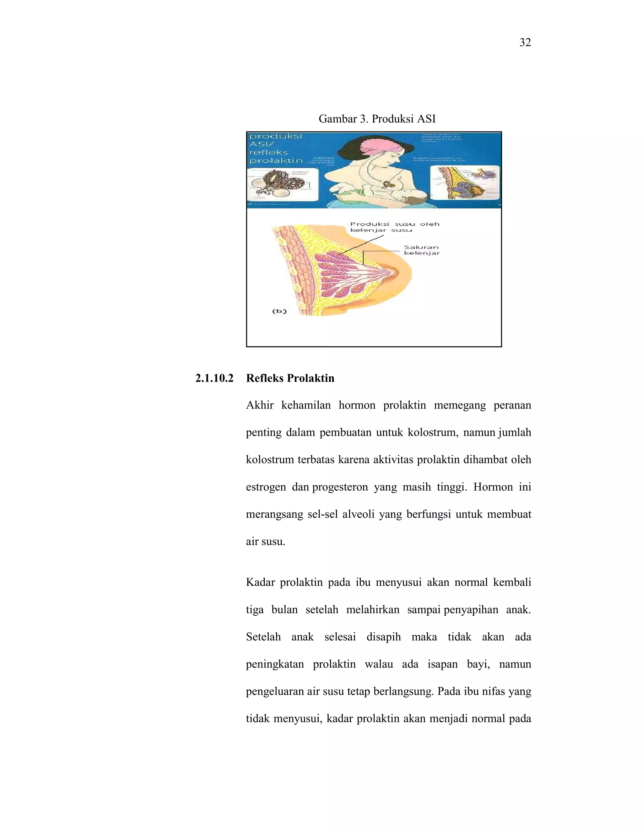 32
Gambar 3. Produksi ASI
2.1.10.2 Refleks Prolaktin
Akhir kehamilan hormon prolaktin memegang peranan
penting dalam pembuatan untuk kolostrum, namun jumlah
kolostrum terbatas karena aktivitas prolaktin dihambat oleh
estrogen dan progesteron yang masih tinggi. Hormon ini
merangsang sel-sel alveoli yang berfungsi untuk membuat
air susu.
Kadar prolaktin pada ibu menyusui akan normal kembali
tiga bulan setelah melahirkan sampai penyapihan anak.
Setelah anak selesai disapih maka tidak akan ada
peningkatan prolaktin walau ada isapan bayi, namun
pengeluaran air susu tetap berlangsung. Pada ibu nifas yang
tidak menyusui, kadar prolaktin akan menjadi normal pada
 