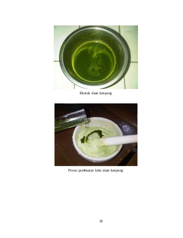 Karya tulis ilmiah krim daun ketepeng (Cassiae Folium)