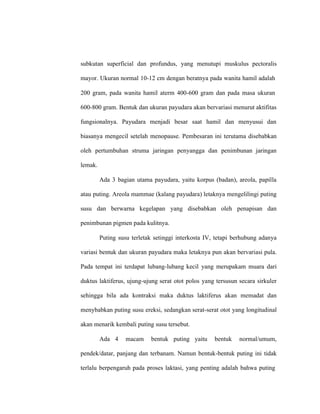 subkutan superficial dan profundus, yang menutupi muskulus pectoralis
mayor. Ukuran normal 10-12 cm dengan beratnya pada wanita hamil adalah
200 gram, pada wanita hamil aterm 400-600 gram dan pada masa ukuran
600-800 gram. Bentuk dan ukuran payudara akan bervariasi menurut aktifitas
fungsionalnya. Payudara menjadi besar saat hamil dan menyusui dan
biasanya mengecil setelah menopause. Pembesaran ini terutama disebabkan
oleh pertumbuhan struma jaringan penyangga dan penimbunan jaringan
lemak.
Ada 3 bagian utama payudara, yaitu korpus (badan), areola, papilla
atau puting. Areola mammae (kalang payudara) letaknya mengelilingi puting
susu dan berwarna kegelapan yang disebabkan oleh penapisan dan
penimbunan pigmen pada kulitnya.
Puting susu terletak setinggi interkosta IV, tetapi berhubung adanya
variasi bentuk dan ukuran payudara maka letaknya pun akan bervariasi pula.
Pada tempat ini terdapat lubang-lubang kecil yang merupakam muara dari
duktus laktiferus, ujung-ujung serat otot polos yang tersusun secara sirkuler
sehingga bila ada kontraksi maka duktus laktiferus akan memadat dan
menybabkan puting susu ereksi, sedangkan serat-serat otot yang longitudinal
akan menarik kembali puting susu tersebut.
Ada 4 macam bentuk puting yaitu bentuk normal/umum,
pendek/datar, panjang dan terbanam. Namun bentuk-bentuk puting ini tidak
terlalu berpengaruh pada proses laktasi, yang penting adalah bahwa puting
 