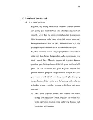 16
2.1.2 Proses laktasi dan menyusui
2.1.2.1 Anatomi payudara
Payudara yang matang adalah salah satu tanda kelamin sekunder
dari seorang gadis dan merupakan salah satu organ yang indah dan
menarik. Lebih dari itu, untuk mempertahankan kelangsungan
hidup keturunannya, maka organ ini menjadi sumber utama dari
kehidupankarena Air Susu Ibu (ASI) adalah makanan bayi yang
paling penting terutama pada bulan-bulan pertama kehidupan.
Payudara (mammae) adalah kelenjar yang terletak dibawah kulit,
diatas otot dada. Fungsi dari payudara adalah memproduksi susu
untuk nutrisi bayi. Manusia mempunyai sepasang kelenjar
payudara, yang beratnya kurang lebih 200 gram, saat hamil 600
gram, dan saat menyusui 800 gram. Payudara disebut pula
glandula mamalia yang ada baik pada wanita maupun pria. Pada
pria secara normal tidak berkembang, kecuali jika dirangsang
dengan hormon. Pada wanita terus berkembang pada pubertas,
sedangkan selama kehamilan terutama berkembang pada masa
menyusui.
1) Letak: setiap payudara terletak pada sternum dan meluas
setinggi costa kedua dan keenam. Payudara ini terletak pada
fascia superficialis dinding rongga dada yang disangga oleh
ligamentum suspensorium.
 