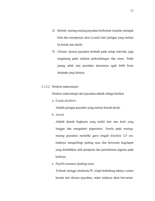 17
2) Bentuk: masing-masing payudara berbentuk tonjolan setengah
bola dan mempunyai ekor (cauda) dari jaringan yang meluas
ke ketiak atau aksila.
3) Ukuran: ukuran payudara berbeda pada setiap individu, juga
tergantung pada stadium perkembangan dan umur. Tidak
jarang salah satu payudara ukurannya agak lebih besar
daripada yang lainnya.
2.1.2.2 Struktur makroskopis
Struktur makroskopis dari payudara adalah sebagai berikut.
a. Cauda akxillaris
Adalah jaringan payudara yang meluas kearah aksila.
b. Areola
Adalah daerah lingkaran yang terdiri dari atas kulit yang
longgar dan mengalami pigmentasi. Areola pada masing-
masing payudara memiliki garis tengah kira-kira 2,5 cm.
letaknya mengelilingi putting susu dan berwarna kegelapan
yang disebabkan oleh penipisan dan penimbunan pigmen pada
kulitnya.
c. Papilla mammae (putting susu)
Terletak setinggi interkosta IV, tetapi berhubung adanya variasi
bentuk dan ukuran payudara, maka letaknya akan bervariasi.
 