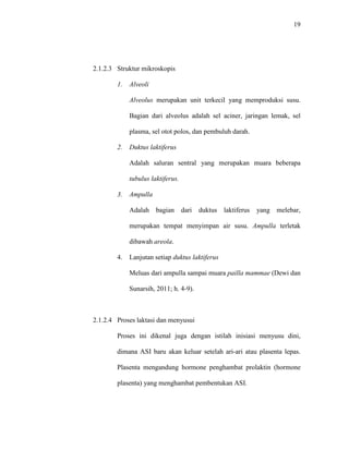 19
2.1.2.3 Struktur mikroskopis
1. Alveoli
Alveolus merupakan unit terkecil yang memproduksi susu.
Bagian dari alveolus adalah sel aciner, jaringan lemak, sel
plasma, sel otot polos, dan pembuluh darah.
2. Duktus laktiferus
Adalah saluran sentral yang merupakan muara beberapa
tubulus laktiferus.
3. Ampulla
Adalah bagian dari duktus laktiferus yang melebar,
merupakan tempat menyimpan air susu. Ampulla terletak
dibawah areola.
4. Lanjutan setiap duktus laktiferus
Meluas dari ampulla sampai muara pailla mammae (Dewi dan
Sunarsih, 2011; h. 4-9).
2.1.2.4 Proses laktasi dan menyusui
Proses ini dikenal juga dengan istilah inisiasi menyusu dini,
dimana ASI baru akan keluar setelah ari-ari atau plasenta lepas.
Plasenta mengandung hormone penghambat prolaktin (hormone
plasenta) yang menghambat pembentukan ASI.
 