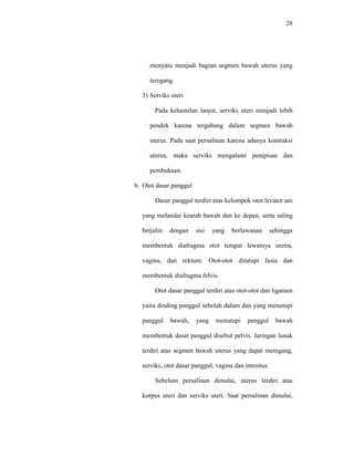 28
menyatu menjadi bagian segmen bawah uterus yang
teregang.
3) Serviks uteri
Pada kehamilan lanjut, serviks uteri menjadi lebih
pendek karena tergabung dalam segmen bawah
uterus. Pada saat persalinan karena adanya kontraksi
uterus, maka serviks mengalami penipisan dan
pembukaan.
b. Otot dasar panggul
Dasar panggul terdiri atas kelompok otot levator ani
yang melandai kearah bawah dan ke depan, serta saling
berjalin dengan sisi yang berlawanan sehingga
membentuk diafragma otot tempat lewatnya uretra,
vagina, dan rektum. Otot-otot ditutupi fasia dan
membentuk diafragma felvis.
Otot dasar panggul terdiri atas otot-otot dan ligamen
yaitu dinding panggul sebelah dalam dan yang menutupi
panggul bawah, yang menutupi panggul bawah
membentuk dasar panggul disebut pelvis. Jaringan lunak
terdiri atas segmen bawah uterus yang dapat meregang,
serviks, otot dasar panggul, vagina dan introitus.
Sebelum persalinan dimulai, uterus terdiri atas
korpus uteri dan serviks uteri. Saat persalinan dimulai,
 