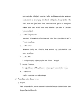 caseosa (yakni palit bayi, zat seperti salep terdiri atas palit atau semacam
noda dan sel-sel epitel yang mnyelimuti kulit janin), lanugo (yakni bulu
halus pada anak yang baru lahir), dan mekonium (yakni isi usus janin
cukup bulan yang terdiri atas getah kelenjar usus dan air ketuban
berwarna hijau).
2. Lochea Sanguinolenta
Warnanya merah kuning berisi darah dan lendir. Ini terjadi pada hari ke 3-
7 pasca persalinan
3. Lochea Serosa
Berwarna kuning dan cairan ini tidak berdarah lagi, pada hari ke 7-14
pasca persalinan.
4. Lochea Alba
Cairan putih yang terjadinya pada hari setelah 2 minggu.
5. Lochea Purulenta
Ini terjadi karena infeksi, keluarnya cairan seperti nanah berbau busuk.
6. Locheohosis
Lochea yang tidak lancar keluarnya.
3) Perubahan vagina dan perineum
a) Vagina
Pada minggu ketiga, vagina mengecil dan timbul vugae (lipatan-lipatan atau
kerutan-kerutan) kembali.
 