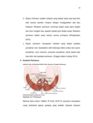 18
b. Ruptur Perineum adalah robekan yang terjadi pada saat bayi lahir
baik secara spontan maupun dengan menggunakan alat atau
tindakan. Robekan perineum umumnya terjadi pada garis tengah
dan bisa menjadi luas apabila kepala janin terlalu cepat. Robekan
perineum terjadi pada hampir semua primipara (Winkjosastro
2010)
c. Ruptur perineum merupakan robekan yang terjadi sewaktu
persalinan dan disebabkan oleh beberapa faktor antara lain posisi
persalinan, cara meneran, pimpinan persalinan, berat badan bayi
baru lahir dan keadaan perineum. (Enggar dalam Lintang 2014)
2. Anatomi Perineum
(Pelvicfloorword.wordpress.com)
Gambar 2.2: Perineum
Menurut Harry Oxorn, William’ R Forte. 2010:10, perineum merupakan
ruang berbentuk jajaran genjang yang terletak dibawah dasaran
 