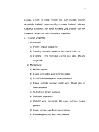 19
panggul. Daerah ini dibagi menjadi dua buah segitiga: trigonum
urogenitale disebelah depan dan trigonum anale disebelah belakang.
Keduanya dipisahkan oleh sekat melintang yang dibentuk oleh mm
tranversus perinea dan basis diapraghma urogenitale.
a. Trigonum urogenitale
1) dibatasi oleh:
a) Depan ; angulus subpubicus
b) Samping ; ramus ischiopubicus dan tuber ischiadicum
c) Belakang ; mm. tranversus perinea dan basis difragma
urogenitale
2) Mengandung:
a) Introitus vaginae
b) Bagian akhir urethra pars terminalis urethra
c) Clura Clitoriditis dengan m. ischiocavernosus
d) Bulbus vestibule (jaringan erektil yang ditutupi oleh m.
bulbocavernosus
e) Gl. Bartholini dengan duktusnya
f) Diafragma urogenitalia
g) Otot-otot yang membentuk titik pusat perineum (corpus
perinea)
h) Cavum perinea, superficialis dan profundus
i) Pembuluh-pembuluh dara, saraf dan limfe.
 