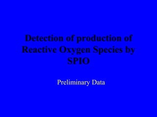 Detection of production of
Reactive Oxygen Species by
SPIO
Preliminary Data
 