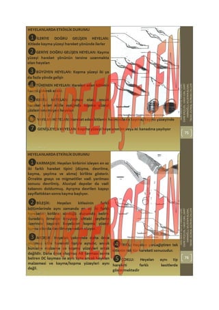 Kütle hareketleri heyelanlar