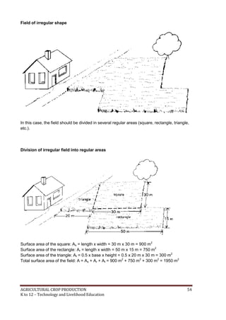 AGRICULTURAL CROP PRODUCTION 54
K to 12 – Technology and Livelihood Education
Field of irregular shape
In this case, the field should be divided in several regular areas (square, rectangle, triangle,
etc.).
Division of irregular field into regular areas
Surface area of the square: As = length x width = 30 m x 30 m = 900 m2
Surface area of the rectangle: Ar = length x width = 50 m x 15 m = 750 m2
Surface area of the triangle: At = 0.5 x base x height = 0.5 x 20 m x 30 m = 300 m2
Total surface area of the field: A = As + Ar + At = 900 m2
+ 750 m2
+ 300 m2
= 1950 m2
 