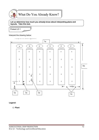 AGRICULTURAL CROP PRODUCTION 72
K to 12 – Technology and Livelihood Education
Labe
Interpret the drawing below:
Legend:
Plant
What Do You Already Know?
Let us determine how much you already know about interpreting plans and
layouts. Take this test.
Pretest LO 1
 