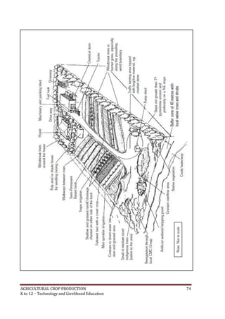 AGRICULTURAL CROP PRODUCTION 74
K to 12 – Technology and Livelihood Education
 