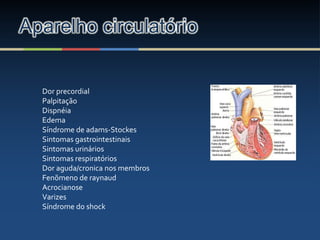 Aparelho circulatório
Dor precordial
Palpitação
Dispnéia
Edema
Síndrome de adams-Stockes
Sintomas gastrointestinais
Sintomas urinários
Sintomas respiratórios
Dor aguda/cronica nos membros
Fenõmeno de raynaud
Acrocianose
Varizes
Síndrome do shock
 