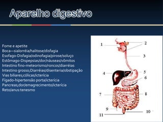 Aparelho digestivo
Fome e apetite
Boca—sialorréia/halitose/disfagia
Esofago-Disfagia/odinofagia/pirose/soluço
Estõmago-Dispepsias/dor/náuseas/võmitos
Intestino fino-meteorismo/roncos/diarréias
Intestino grosso;Diarréias/disenteria/obstipação
Vias biliares;cólicas/icterícia
Fígado-hipertensão porta/icterícia
Pancreas;dor/emagrecimento/icterícia
Reto/anus:tenesmo
 
