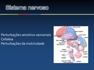 Sistema nervoso
Perturbações sensitivo-sensoriais
Cefaleia
Perturbações da motricidade
 